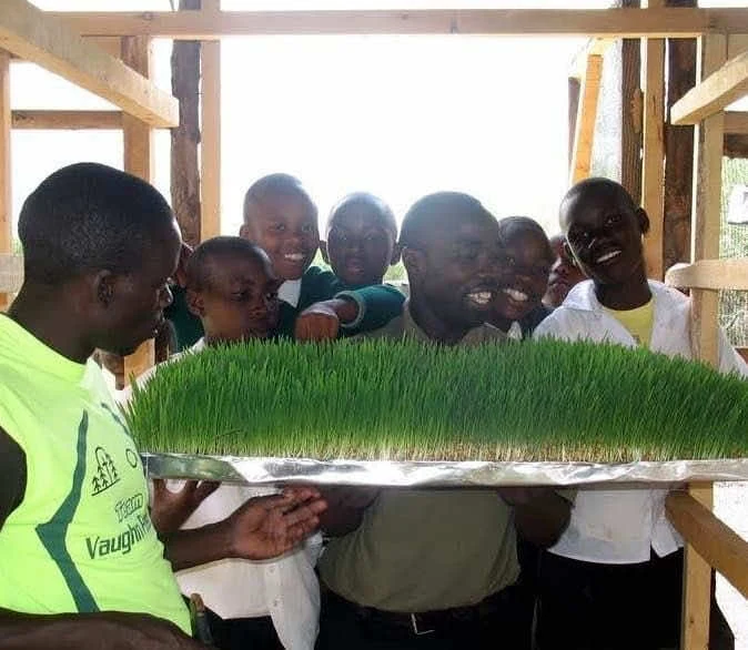 Young people show seedlings grown at Boys Town Africa