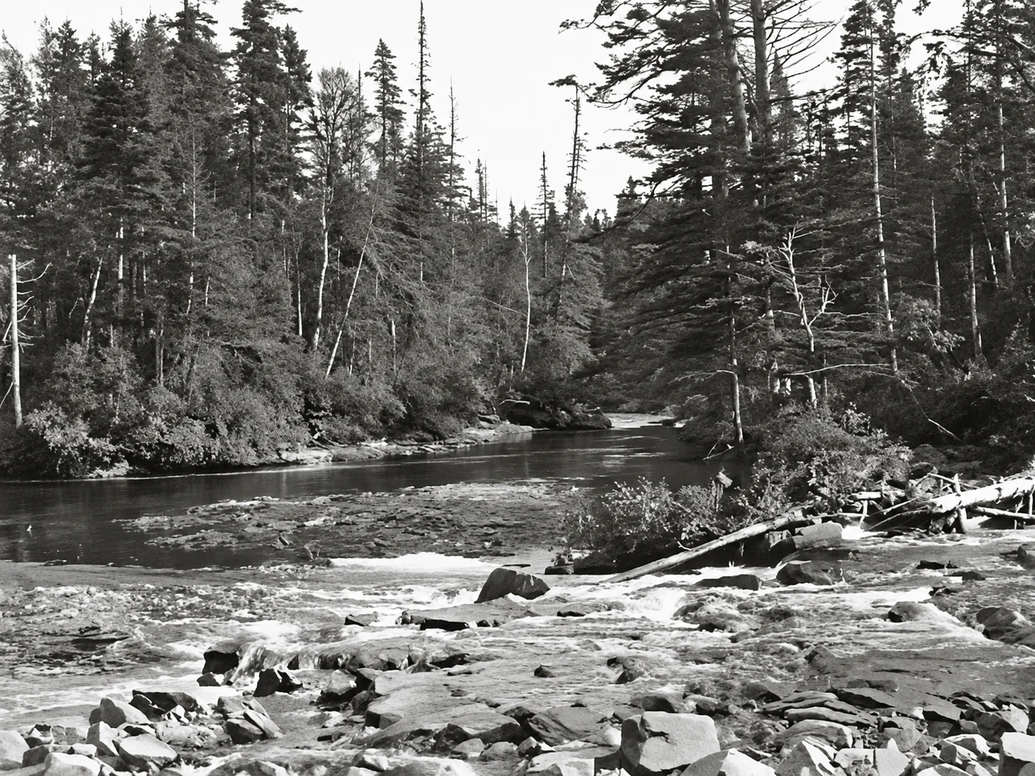 Rivière bordée de forêt près de Sept-Îles