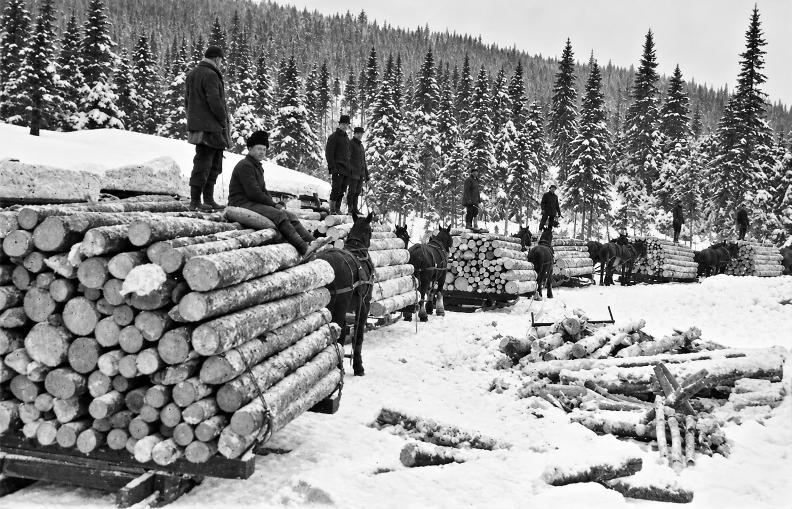 Photographie d’archives des chantiers de la Côte-Nord, image 11