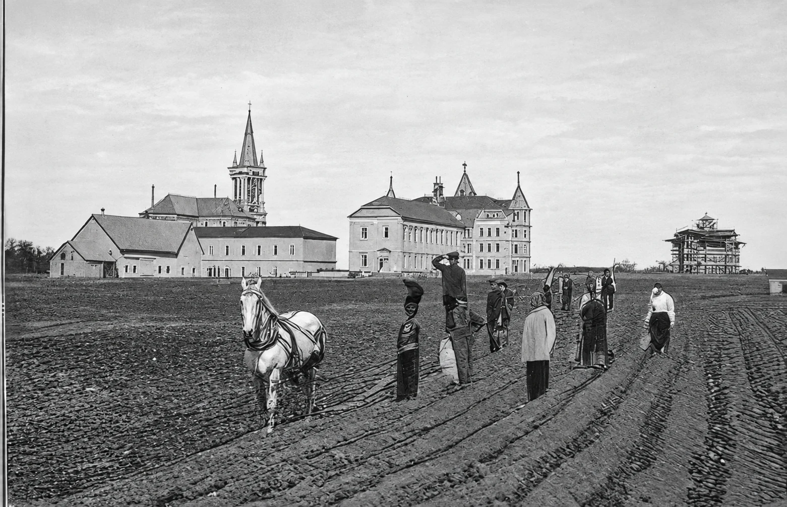 Collège - Extérieur - champ de patates